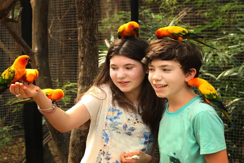 Two Tourists enjoying the friendly exotic birds at Phuket Bird Park