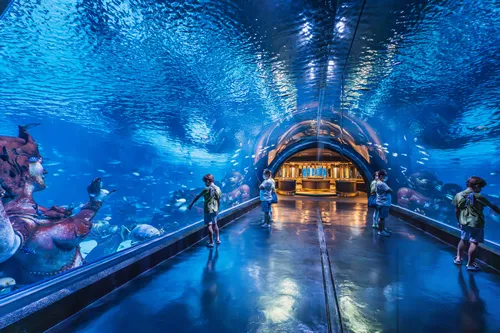 Experience the Underwater World at the Phuket Aquarium